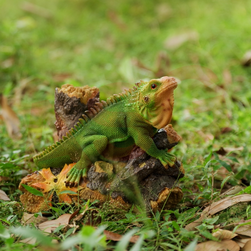 Climbing Lizard  Garden Ornament