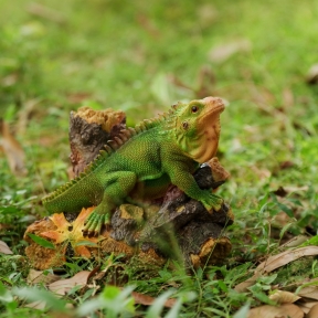 Climbing Lizard  Garden Ornament