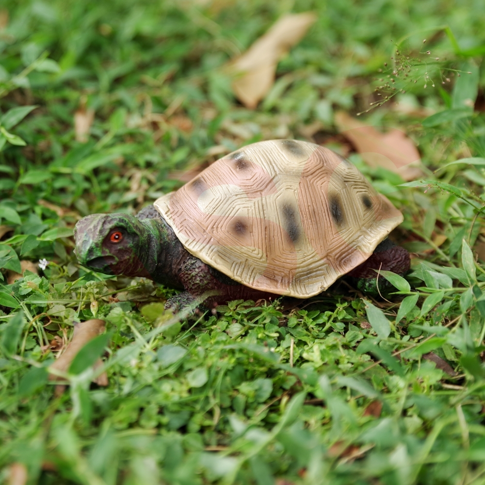 Tortoise Garden Ornament